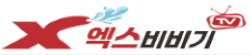 엑스비비기