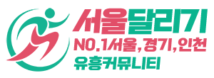 서울달리기